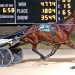 Top Dayton gelding rides into 12th win of year