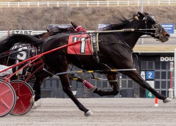 Last to first for Roll Em at The Meadows