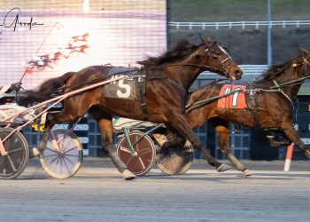 Saint K digs in for feature win