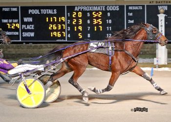 Sly Little Fox finds late speed for Dayton win