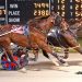 Somebodysilly holds off rivals in Open Pace