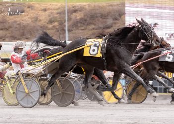 Tequila Talkin knocks down 16th win of the year