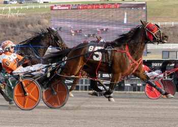 Uptown Callie circles field for Meadows score