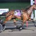 Aussie import perfect in four USA starts 3