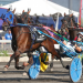 Top trotter, Oaks winner is retired
