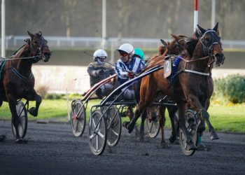 Horsy Dream wins 120,000€ Gr. II Prix de Belgique