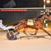 JL Cruze sets all-age trotting record at Rosecroft 2 JL Cruze continues to dominate