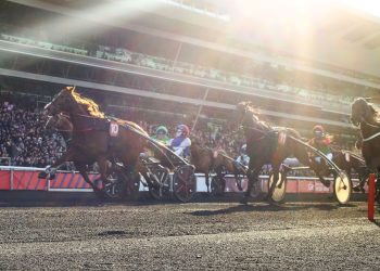 Sunday sees 1,020,000€ undercard at Vincennes
