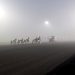 Fog brings an early end to Big M season