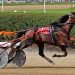 OHHA names Ohio 2YO Trotting Colt of the Year