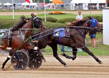 Gabbys C Note named Ohio 3YO Trotting Filly of the Year