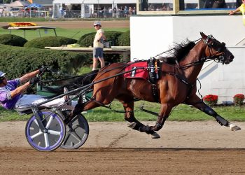Charlie May becomes first horse in two decades to complete award threepeat