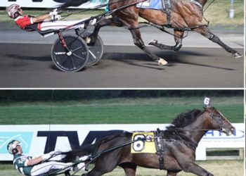 Graduate Series race dates set for 2023