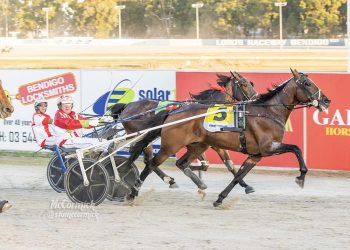 Aldebaran Zeus rules in Maori Mile