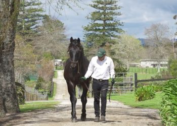 Bettor’s Delight juggernaut continues