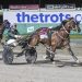 Look out! NZ harness racing stars are coming to Town