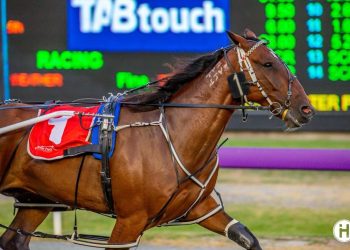 Ex-Kiwi pacer Diego takes out $450,000 WA Pacing Cup