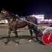 Longshot upsets in Rosecroft Open