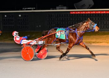 Feeling Sweet top mare at Dover