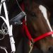 RIB will undergo 100 harness racing stable audits this year 1 RIB will undergo 100 harness racing stable audits this year
