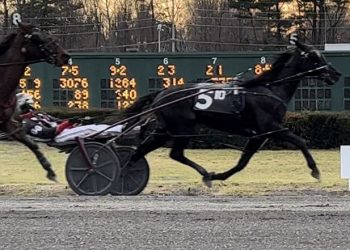 Wild action in Freehold Preferred Pace