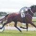 Williamson claims seventh Trotting FFA 2