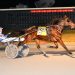 Millionaire trotter scores at a price 1