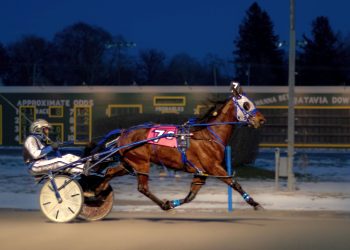 JM’s Delight stays unbeaten at Batavia