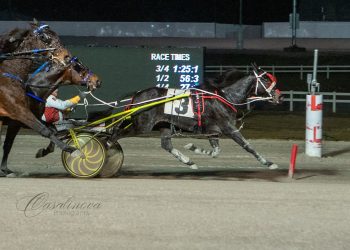 Light Blue Movers springs upset in Open trot