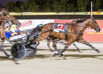 Epic performance lands Major Meister a major prize