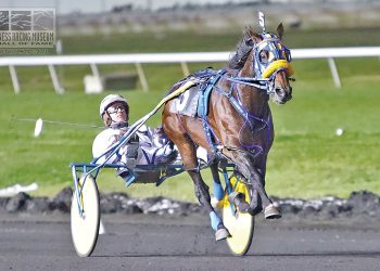 Hall of Fame announces horse inductees