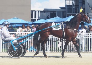 $200,000 Harness Million shapes up as a beauty