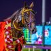 Prentice hoping to claim rare Cup double 3 Son of Alta Christiano upsets in $300,000 Fremantle Cup