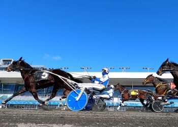 Woodbine introduces New Holland Pacing & Trotting Series