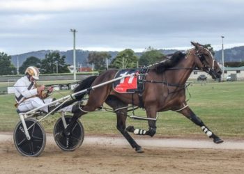 Another Pacing Cup for Hillier and Hadley
