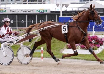 Peak sires all four trotting winners on the card