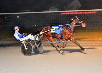 Stafford’s Penzance Hanover emerges in Open