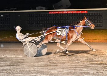 Sloppy track no problem for Penzance Hanover