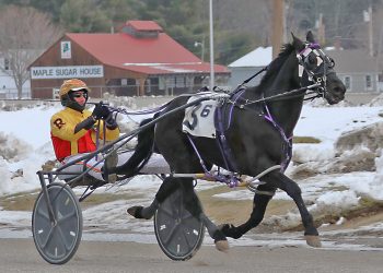Retiring racehorses went out winners