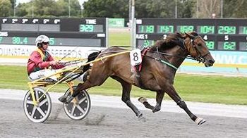 Mission accomplished for Andover Hall mare