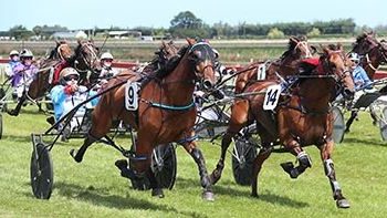 Hill and May get a double at Motukarara