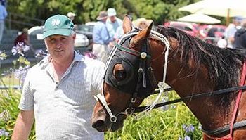 Bettor’s Delight mare takes a different path to the races