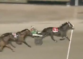 Visionary wins $100,000 Vicbred Final for 4YO Trotting Mares