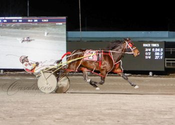 New Zealand import seeks third straight at Northfield