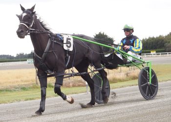 Norman’s five for Forbury