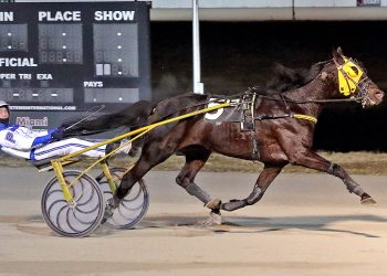 Millionaire trotter returns a winner after long layoff