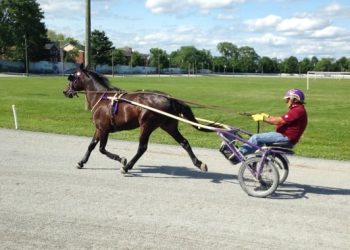 City should help pay for racetrack