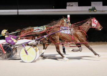 Brookview Bullet fires his best shot