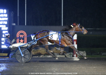 ISS champ crushes mares for first Preferred win