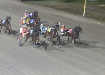 New year, new Woodmere Alvin